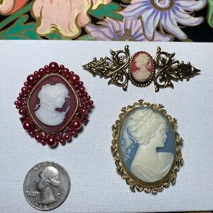 Vintage Cameo Brooches - Blue and Burgundy Styles